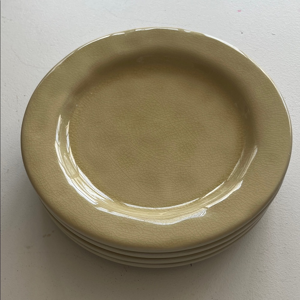 Set of 4 Casa Stone by Casafina 9” Salad Plates